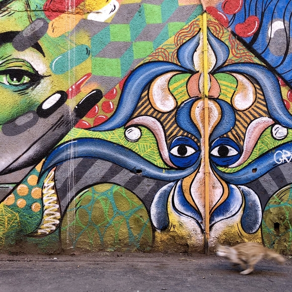 Meet your Posher, Allegra - Picture 1 of 1